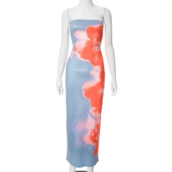 Sexy Strapless Print Tube Maxi Dress Women Off Shoulder Backless Stretch Long Sundress 2024 Summer Beach Y2K Clothes - Image 5